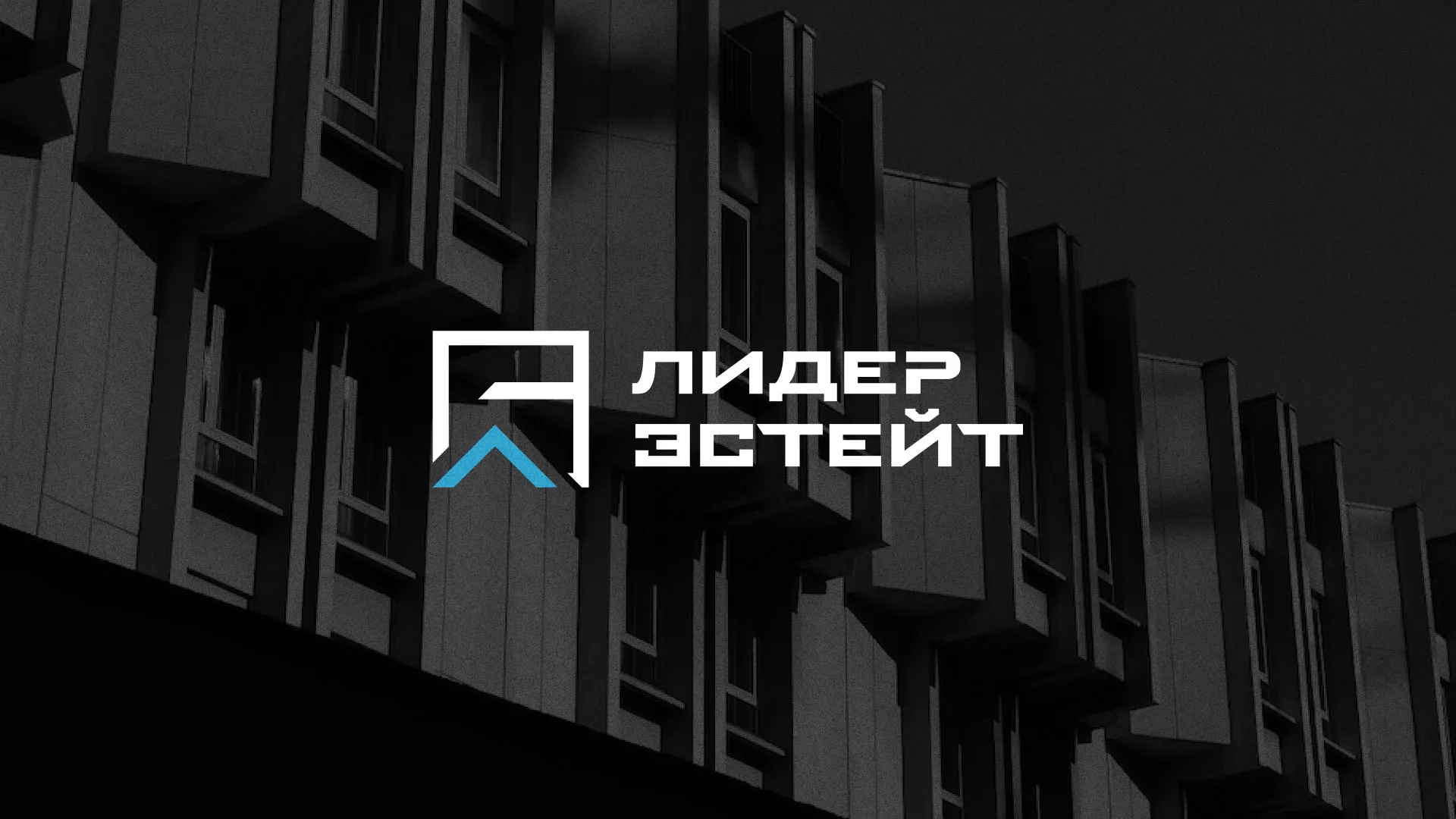 Разработка логотипа агентства недвижимости «Лидер Эстейт» в Лесосибирске